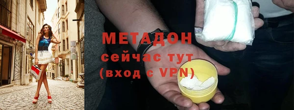 хмурый Аркадак