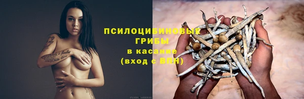 гашик Армянск