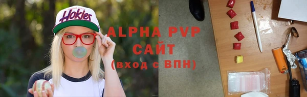 индика Балабаново
