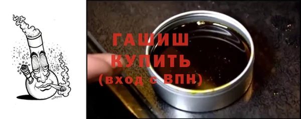 хмурый Аркадак