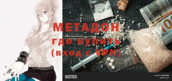 хмурый Аркадак