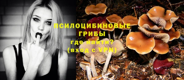 гашик Армянск