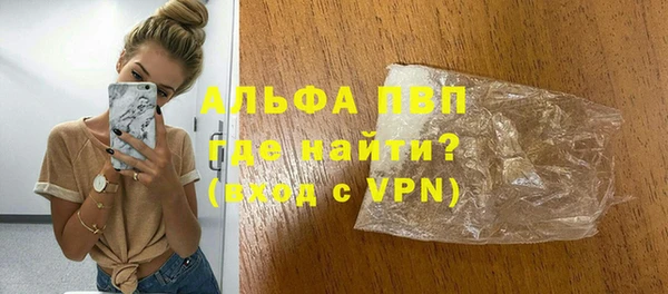 хмурый Аркадак