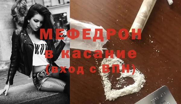 хмурый Аркадак