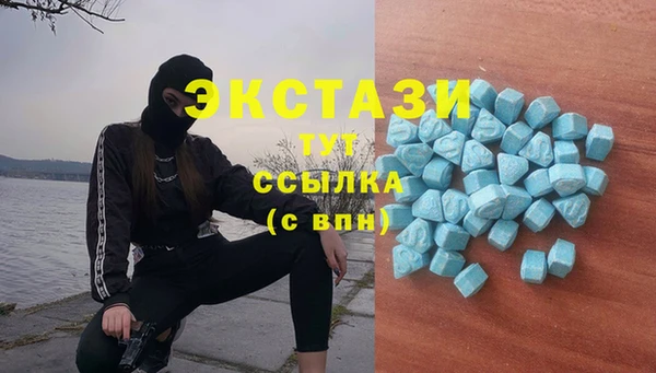 индика Балабаново