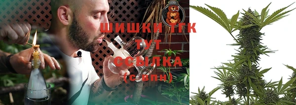 индика Балабаново