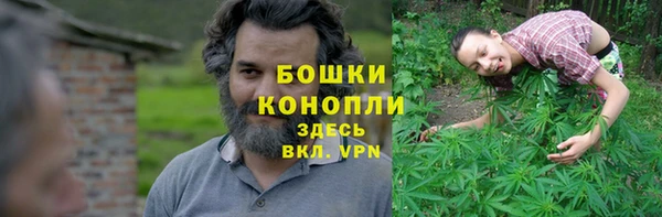 индика Балабаново
