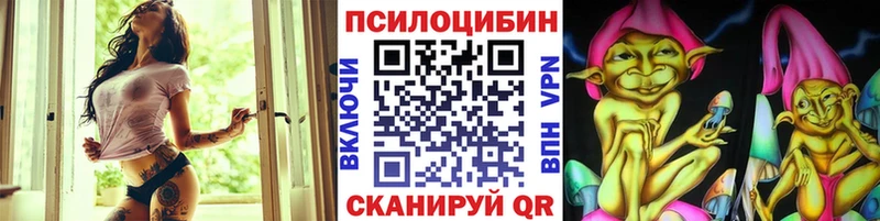 блэк спрут онион  Прохладный  Галлюциногенные грибы GOLDEN TEACHER  купить наркотики цена 