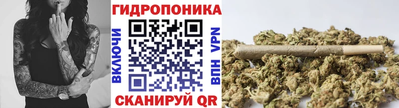 это телеграм  Прохладный  Каннабис планчик 